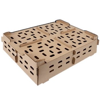 Chicken Broiler box